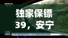 獨家保鏢39，安寧守護者的堅實屏障
