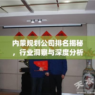 內蒙規劃公司排名揭秘，行業洞察與深度分析