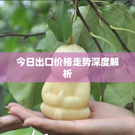 今日出口價(jià)格走勢(shì)深度解析