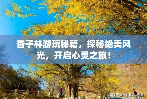 精益求精
