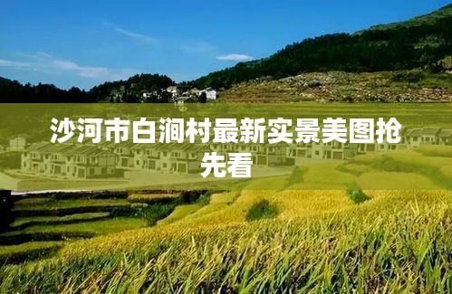 沙河市白澗村最新實景美圖搶先看