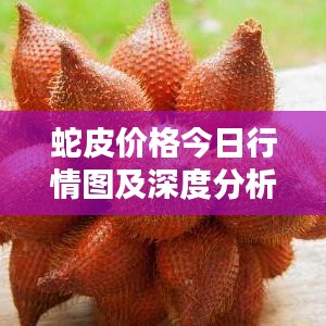 蛇皮價格今日行情圖及深度分析