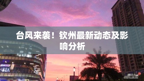 臺(tái)風(fēng)來(lái)襲！欽州最新動(dòng)態(tài)及影響分析