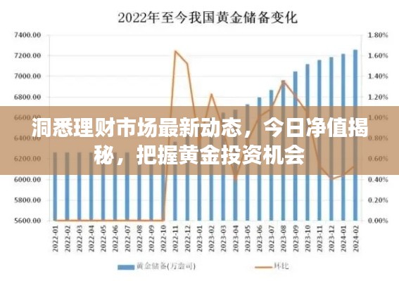 洞悉理財市場最新動態，今日凈值揭秘，把握黃金投資機會