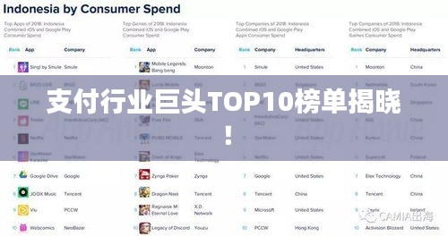 支付行業巨頭TOP10榜單揭曉！