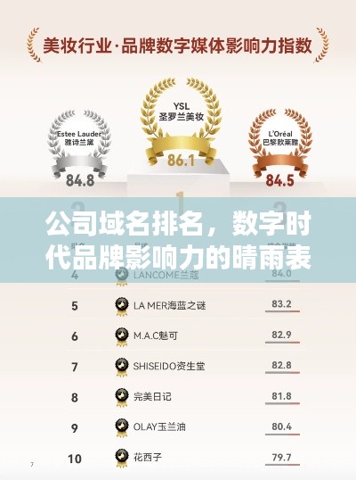 公司域名排名，數字時代品牌影響力的晴雨表
