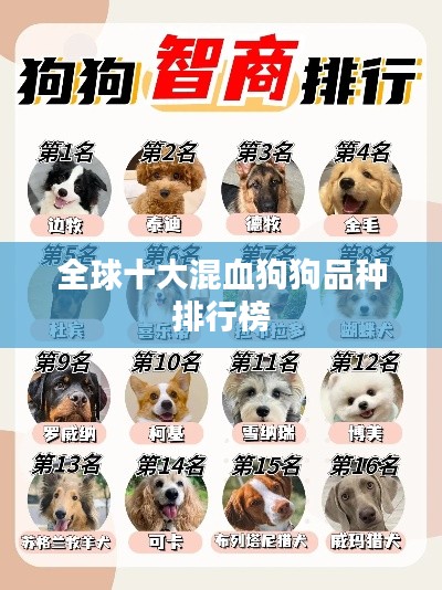 獨(dú)一無二