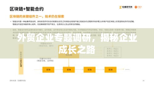 外貿(mào)企業(yè)專題調(diào)研，揭秘企業(yè)成長之路