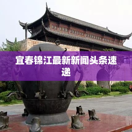 宜春錦江最新新聞?lì)^條速遞