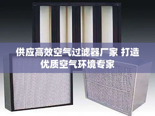 供應高效空氣過濾器廠家 打造優質空氣環境專家