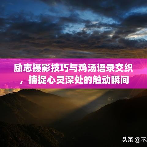 新聞動(dòng)態(tài) 第7頁(yè)