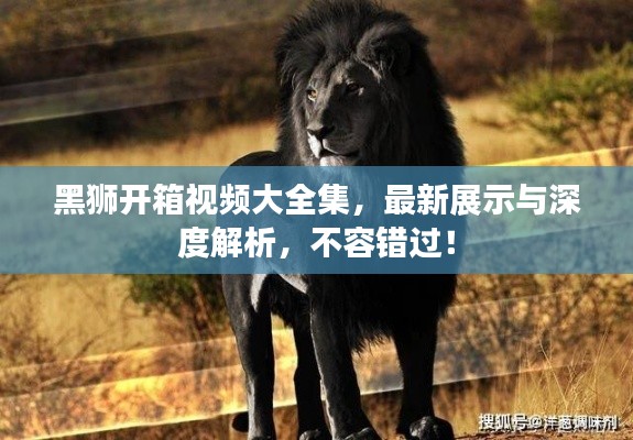 貴冠履輕頭足