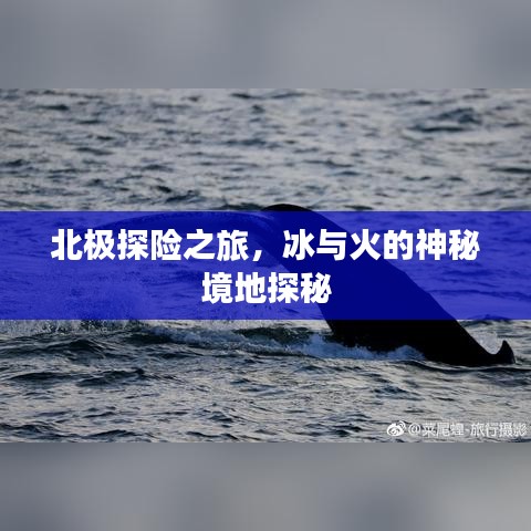 北極探險之旅，冰與火的神秘境地探秘