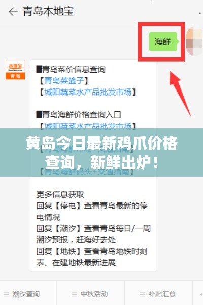 黃島今日最新雞爪價格查詢，新鮮出爐！