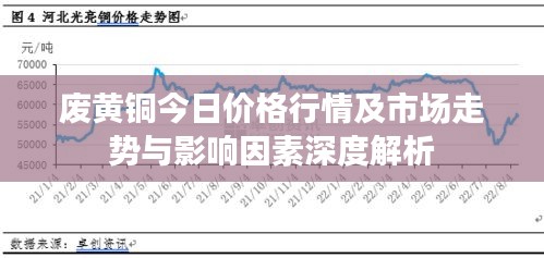 漫天飛舞