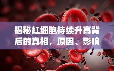 揭秘紅細胞持續升高背后的真相，原因、影響及應對策略