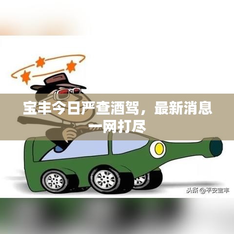 寶豐今日嚴查酒駕，最新消息一網(wǎng)打盡