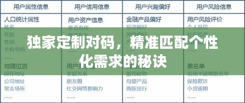 獨家定制對碼，精準匹配個性化需求的秘訣