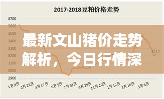 最新文山豬價走勢解析，今日行情深度剖析