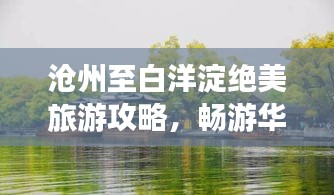 滄州至白洋淀絕美旅游攻略，暢游華北水鄉新寵！
