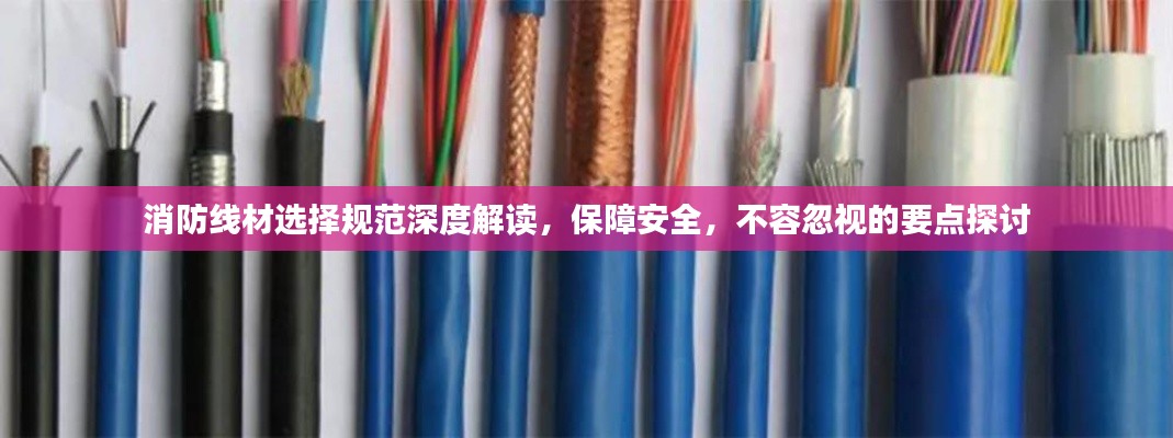 犯而不校
