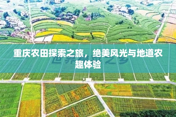 服務流程 第7頁