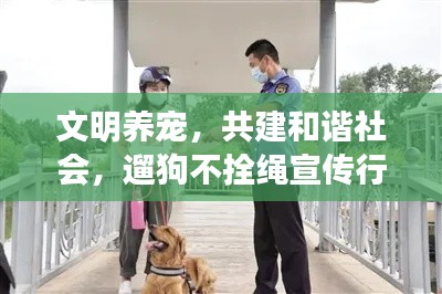 智慧學園SAAS運營服務 第6頁