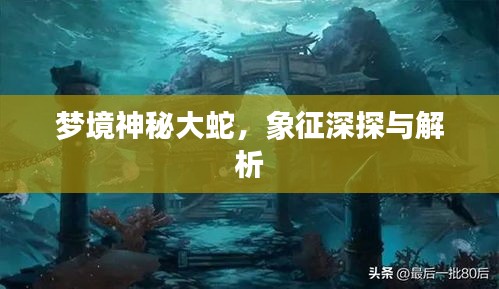 夢境神秘大蛇，象征深探與解析