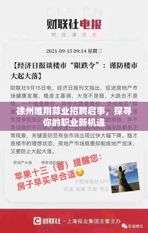 徐州唯翔蒜業招聘啟事，探尋你的職業新機遇
