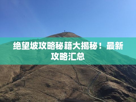 輕飛曼舞