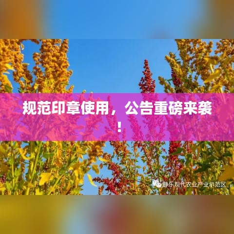 規范印章使用，公告重磅來襲！
