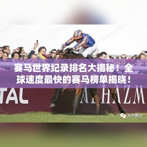 賽馬世界紀(jì)錄排名大揭秘！全球速度最快的賽馬榜單揭曉！