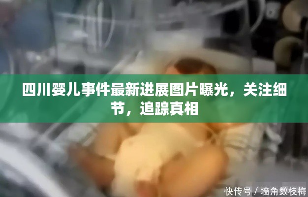 四川嬰兒事件最新進(jìn)展圖片曝光，關(guān)注細(xì)節(jié)，追蹤真相