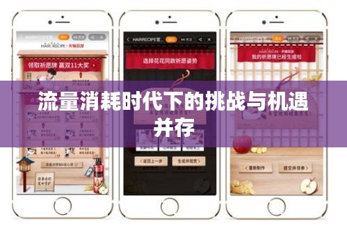 倦鳥思歸