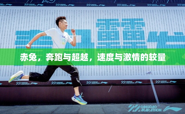 赤兔，奔跑與超越，速度與激情的較量
