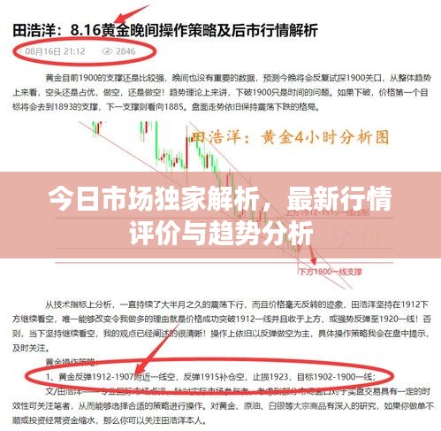 今日市場獨家解析，最新行情評價與趨勢分析