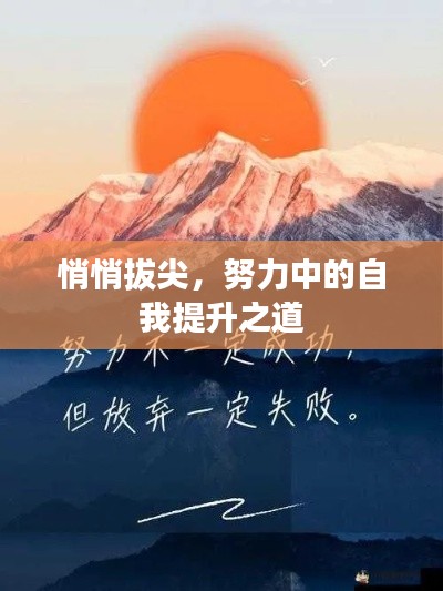 悄悄拔尖，努力中的自我提升之道