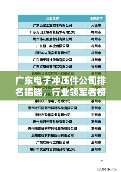 政企行業(yè)數(shù)字化軟件 第4頁