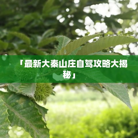 后生可畏