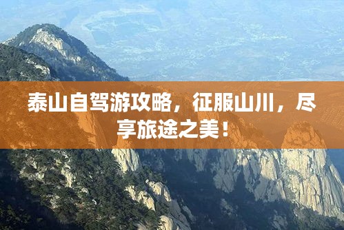 采椽不斫