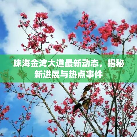 珠海金灣大道最新動態，揭秘新進展與熱點事件