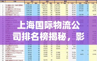 上海國(guó)際物流公司排名榜揭秘，影響力與服務(wù)質(zhì)量一覽
