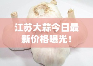 江蘇大蒜今日最新價格曝光！