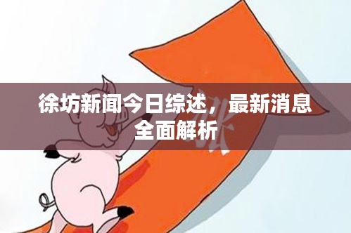徐坊新聞今日綜述，最新消息全面解析
