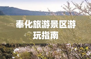 奉化旅游景區游玩指南