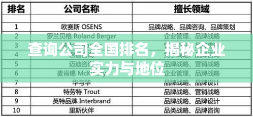 查詢(xún)公司全國(guó)排名，揭秘企業(yè)實(shí)力與地位