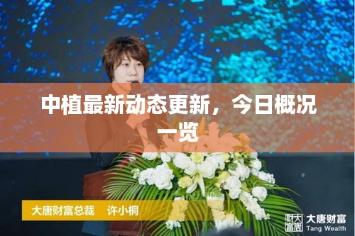 中植最新動態更新，今日概況一覽