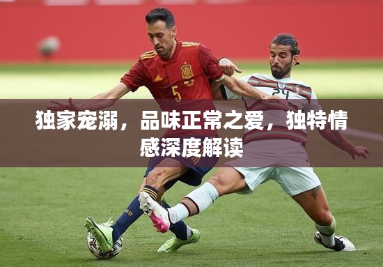 獨家寵溺，品味正常之愛，獨特情感深度解讀