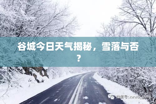 谷城今日天氣揭秘，雪落與否？