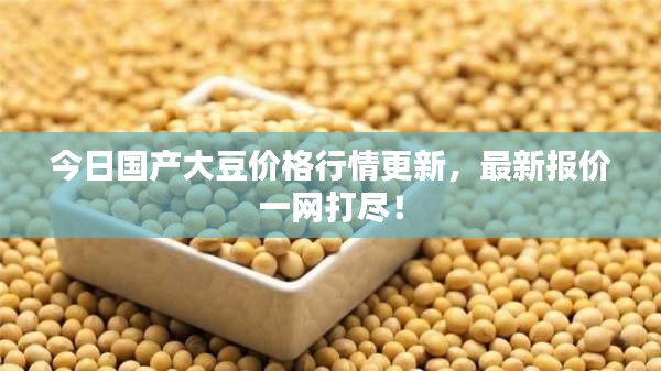今日國產(chǎn)大豆價格行情更新，最新報價一網(wǎng)打盡！